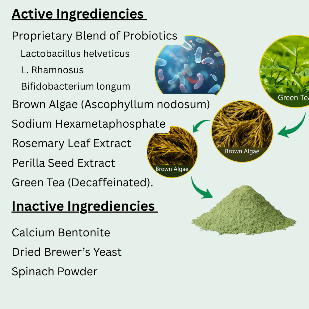 Dental Powder