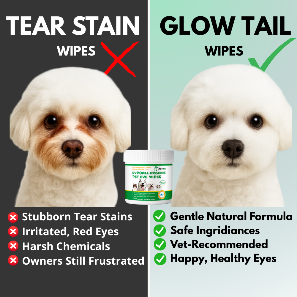 GlowTail® Bright Eyes Wipes