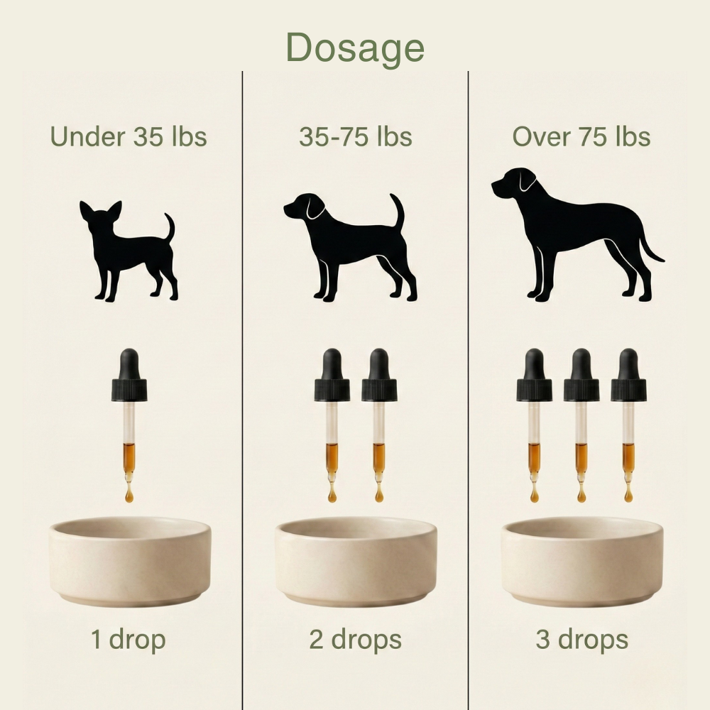 The Complete Daily Formula - Simplified Into One Easy Drop
