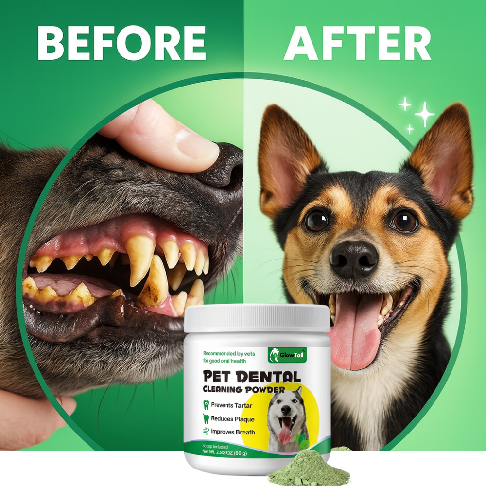 Dental Powder