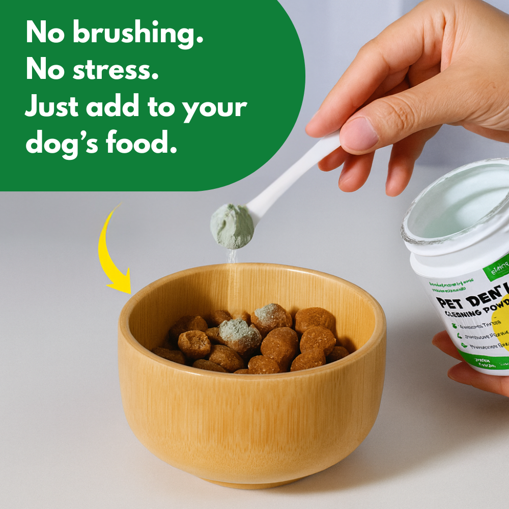 Dental Powder